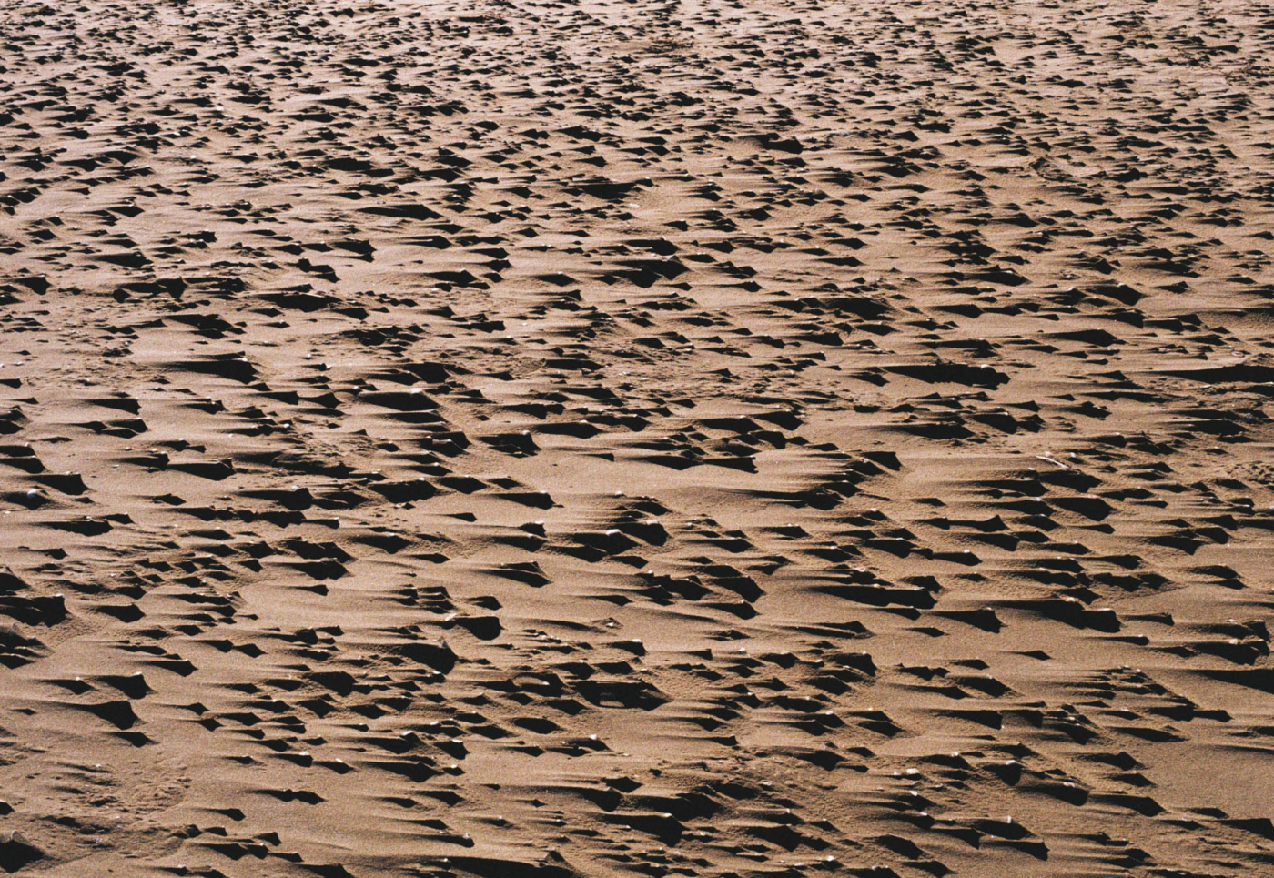 EBRE_1_0026