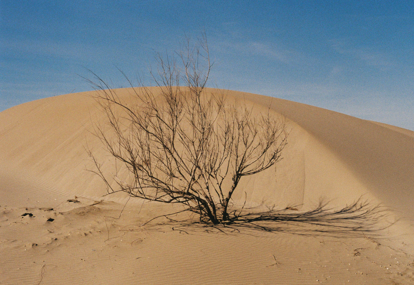 EBRE_1_0027