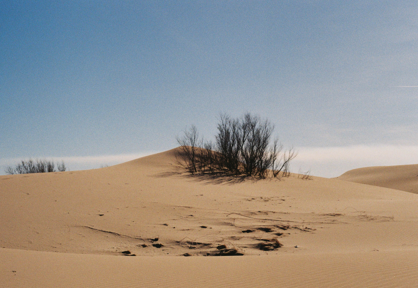 EBRE_1_0032