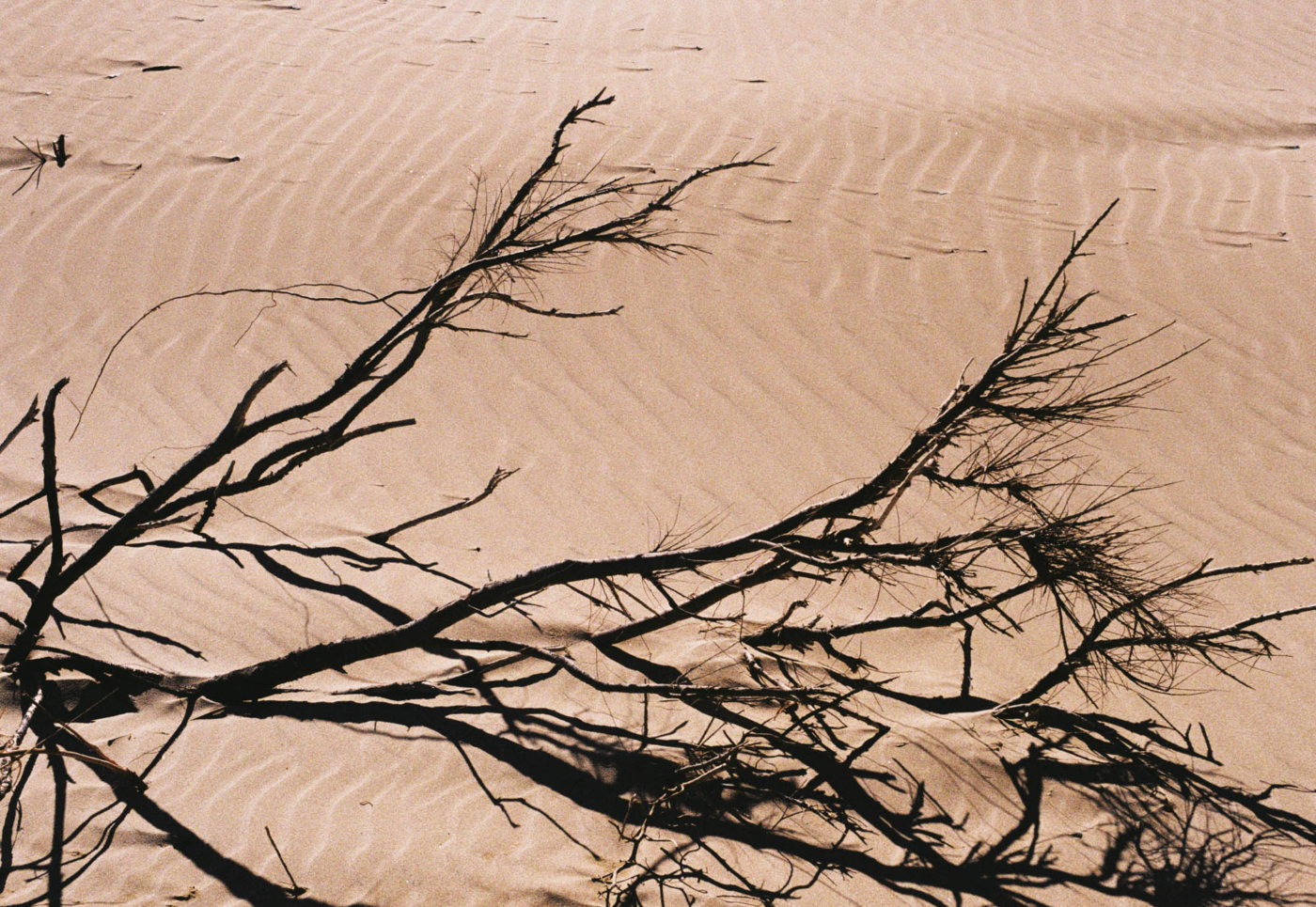 EBRE_1_0034