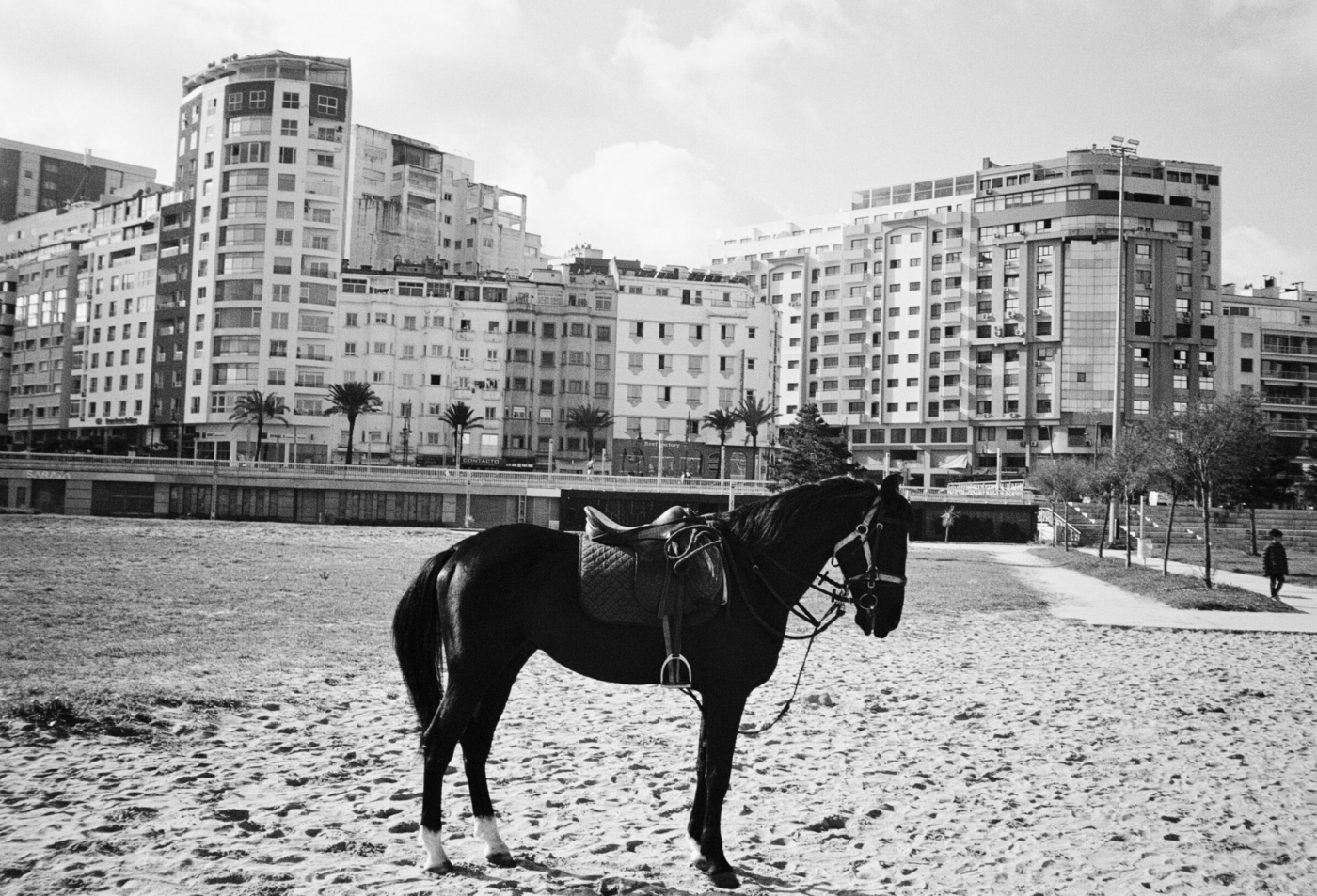 MARROC_0049