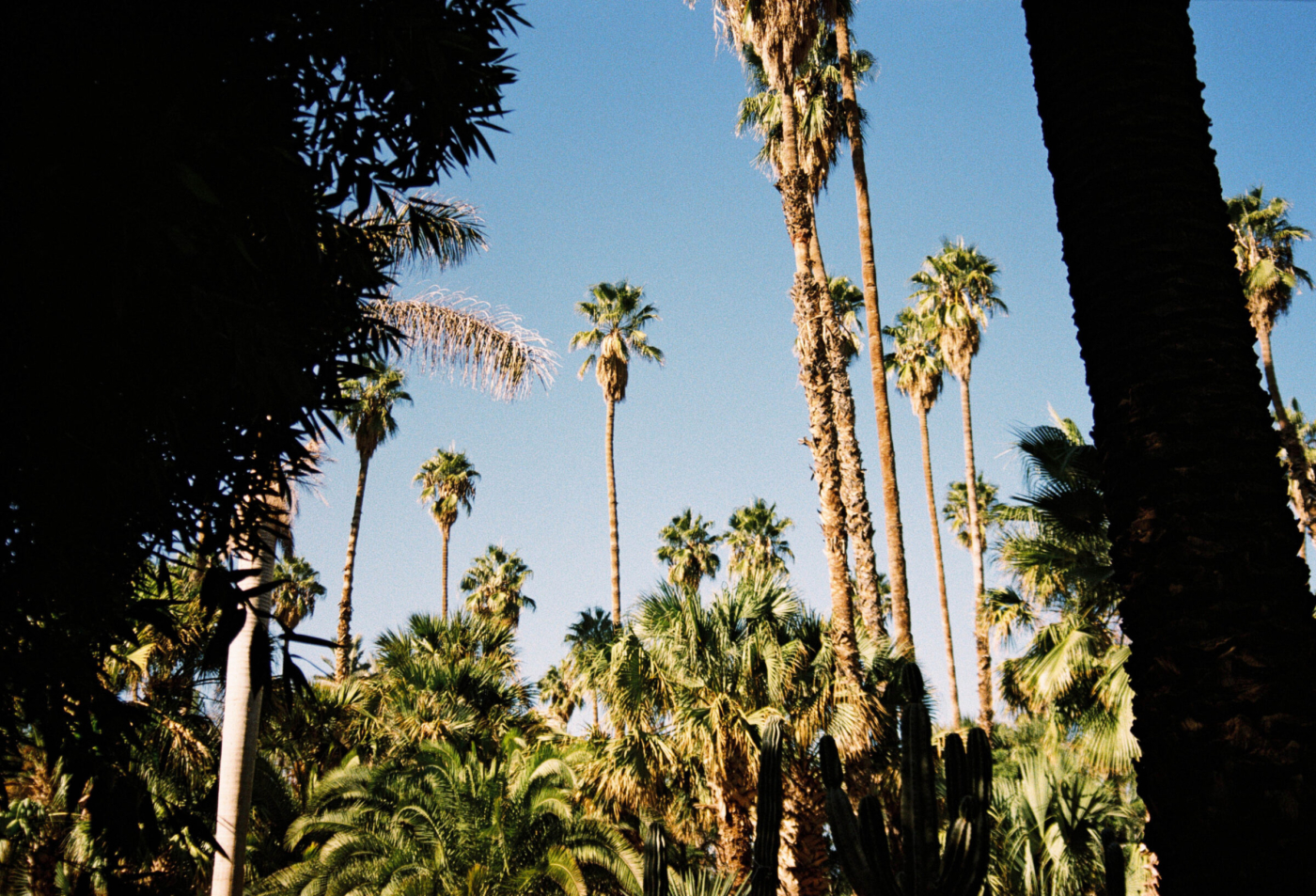 MARROC_0173
