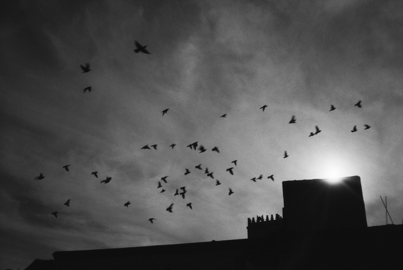 MARROC_0240