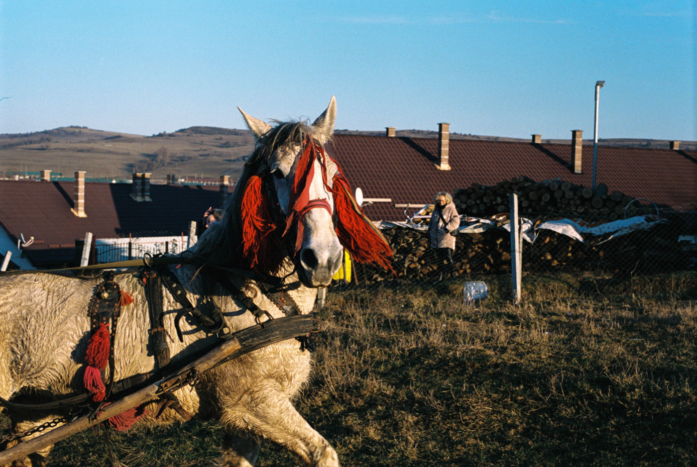 Rumania__0006