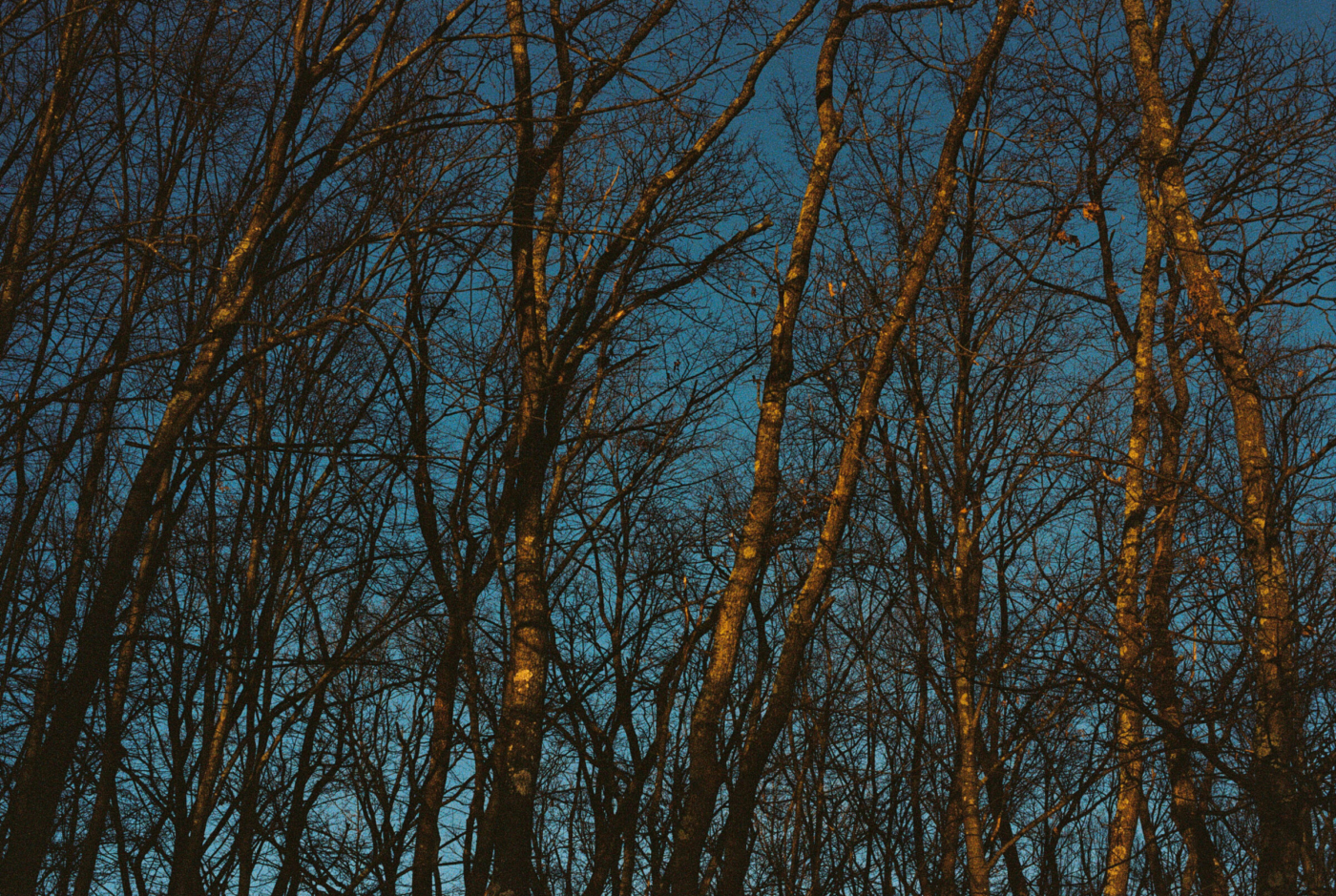 Rumania__0009